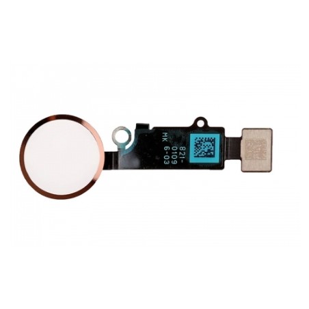 TASTO HOME IPHONE  8 GOLD