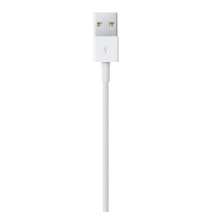 CAVO CAVETTO LIGHTNING a USB BULK PER IPHONE IPAD MD819
