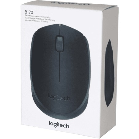 MOUSE 