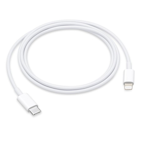 Cavo da USB C a Lightning (1 m)