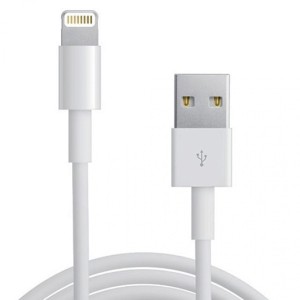 Cavo Apple iphone ipad ipod-Lightning/USB (BULK)
